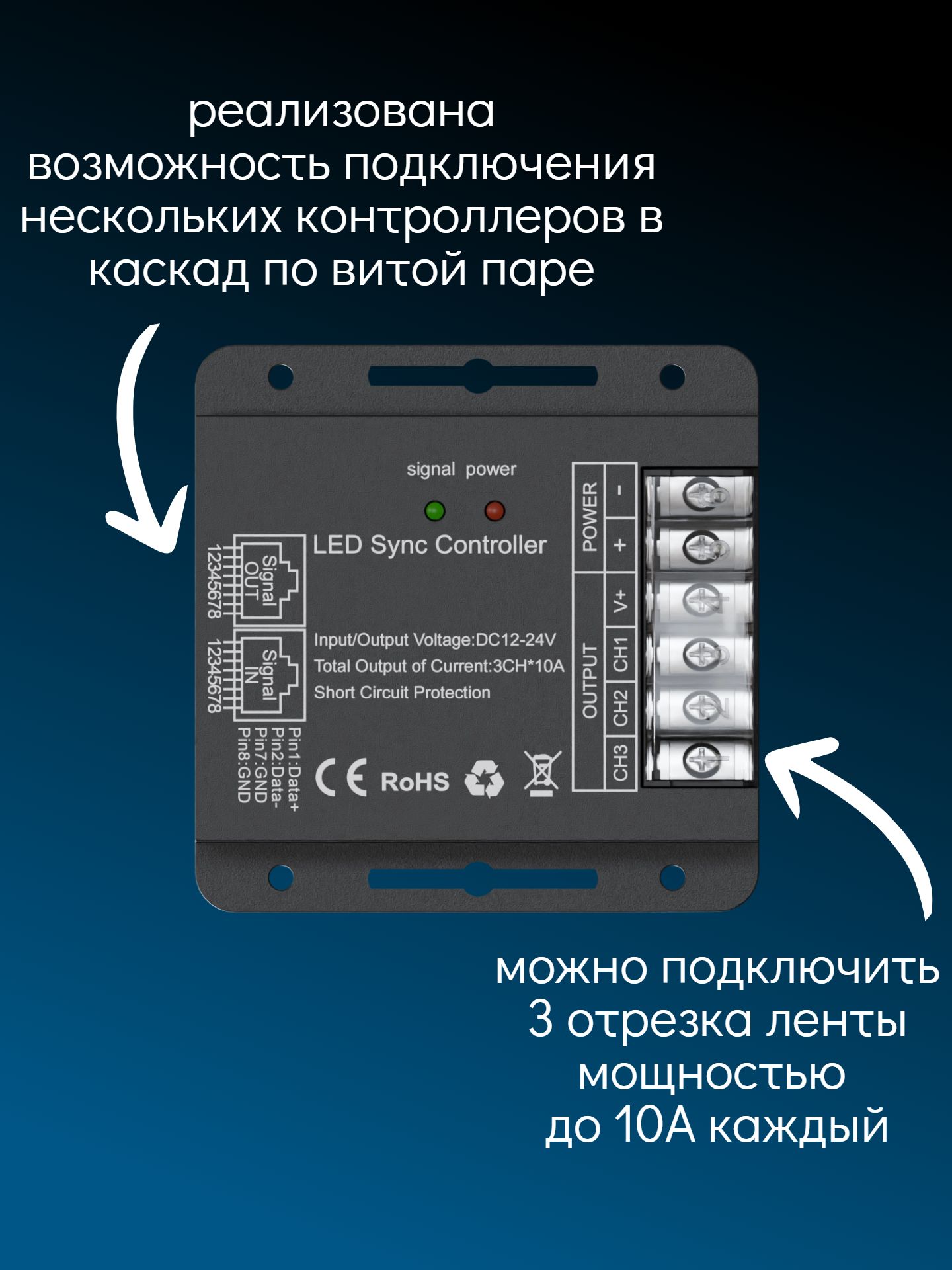 101639-2 Озон