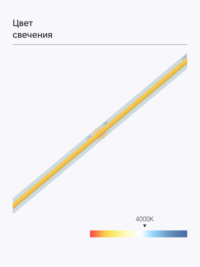 684691-2